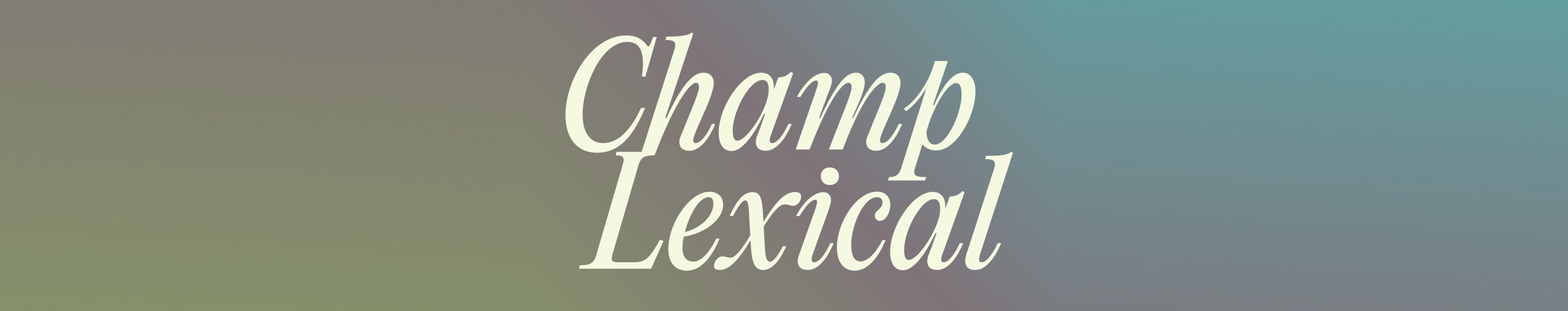 Champ Lexical: vêtements et couleur