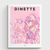 Dinette magazine no20, treasure